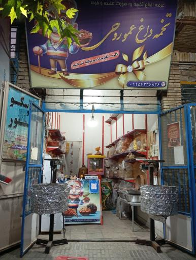 عکس تخمه داغ عمو روحی