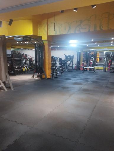 عکس باشگاه سلاطین