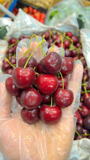 عکس سوپر میوه استقلال