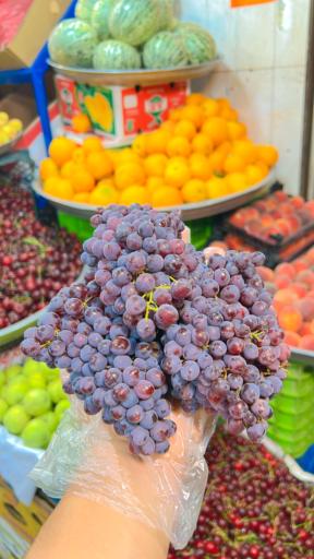 عکس سوپر میوه استقلال