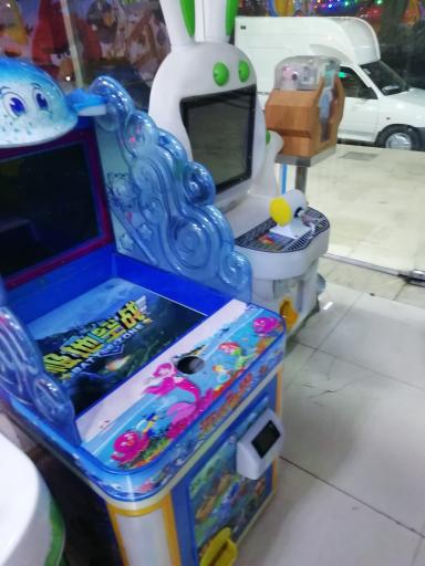 عکس سرزمین بازی گل نرگس