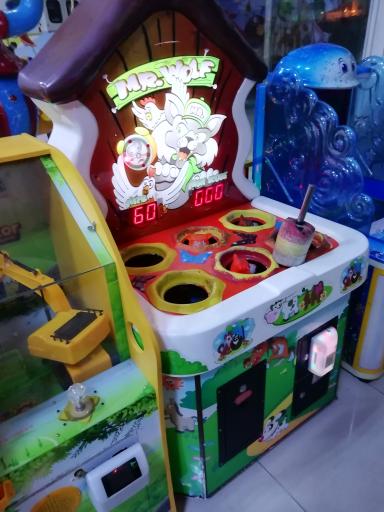 عکس سرزمین بازی گل نرگس