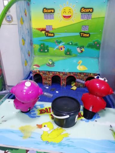 عکس سرزمین بازی گل نرگس