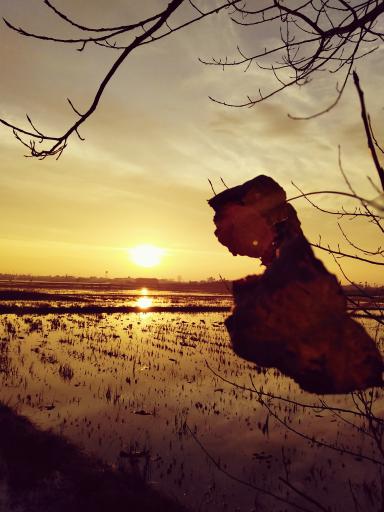 عکس تالاب آب بندان