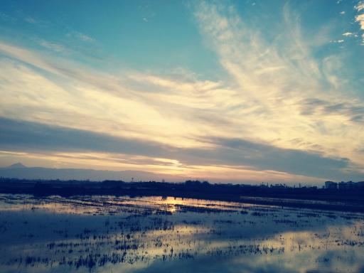 عکس تالاب آب بندان