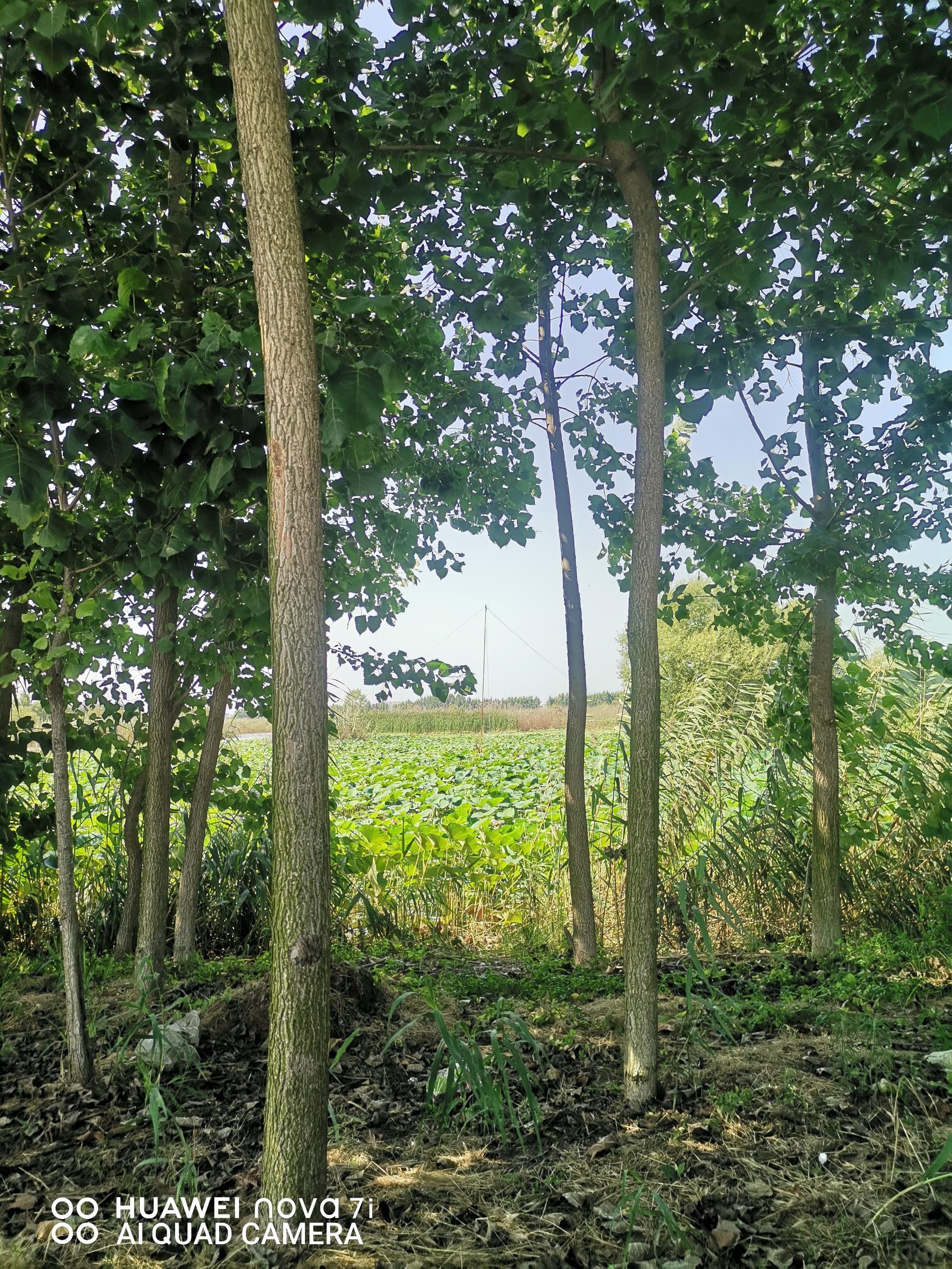 عکس تالاب آب بندان