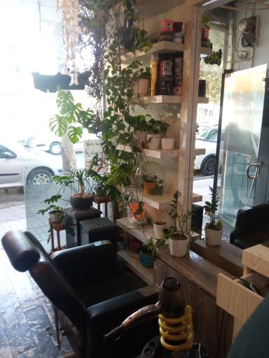 عکس آرایشگاه شایان