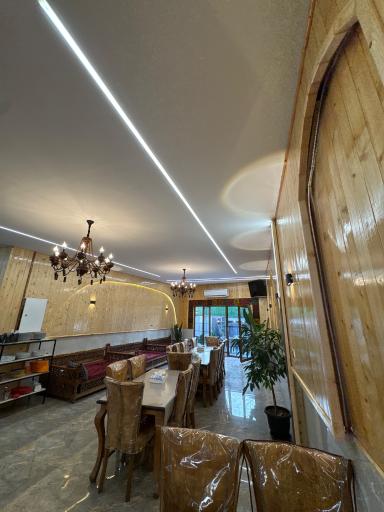 عکس کباب زغالی دلوس