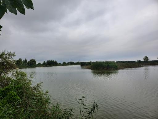 عکس تالاب آب بندان