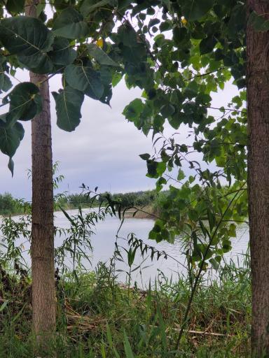 عکس تالاب آب بندان