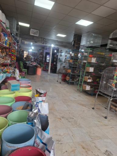 عکس باغ پرندگان حیدری