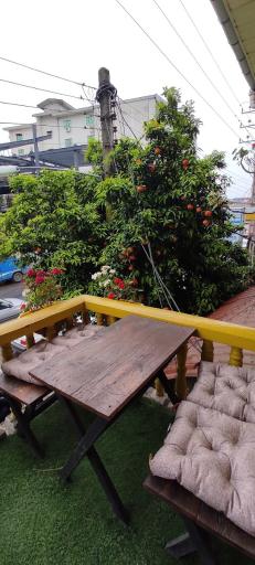 عکس کافه جزیه