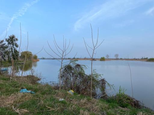 تالاب آب بندان