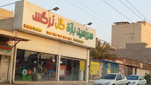 عکس سرزمین بازی گل نرگس