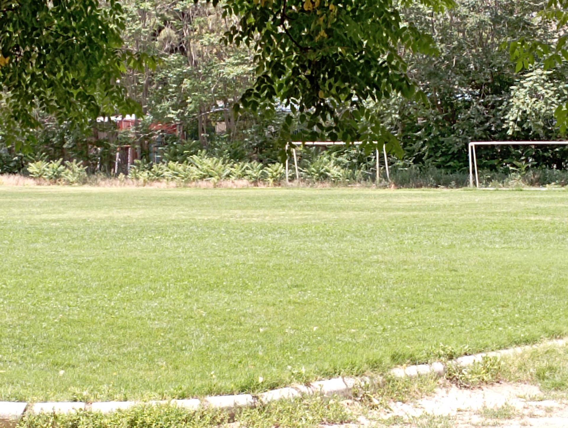 عکس چمن فردوسی ( ناحیه 2 )