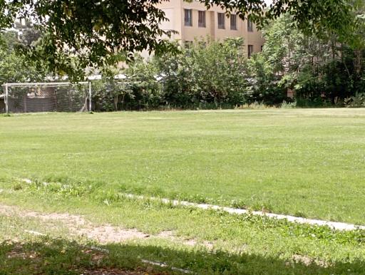 عکس چمن فردوسی ( ناحیه 2 )