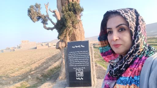 عکس سرو کهنسال آفین کهک