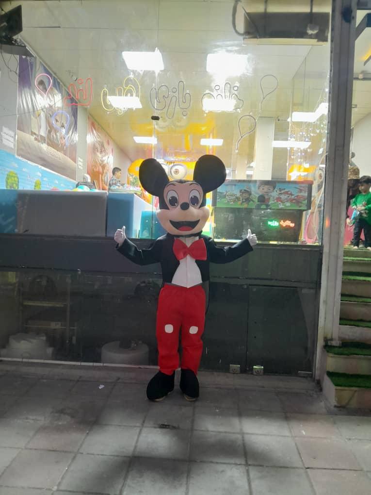 عکس خانه بازی هپی لند 