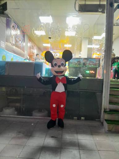 عکس خانه بازی هپی لند 