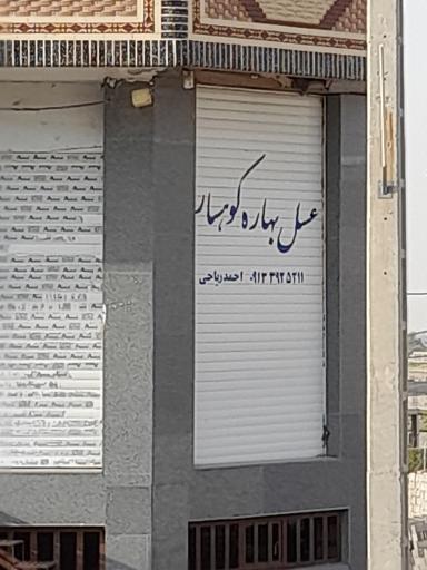 عکس عسل بهاره کوهسار