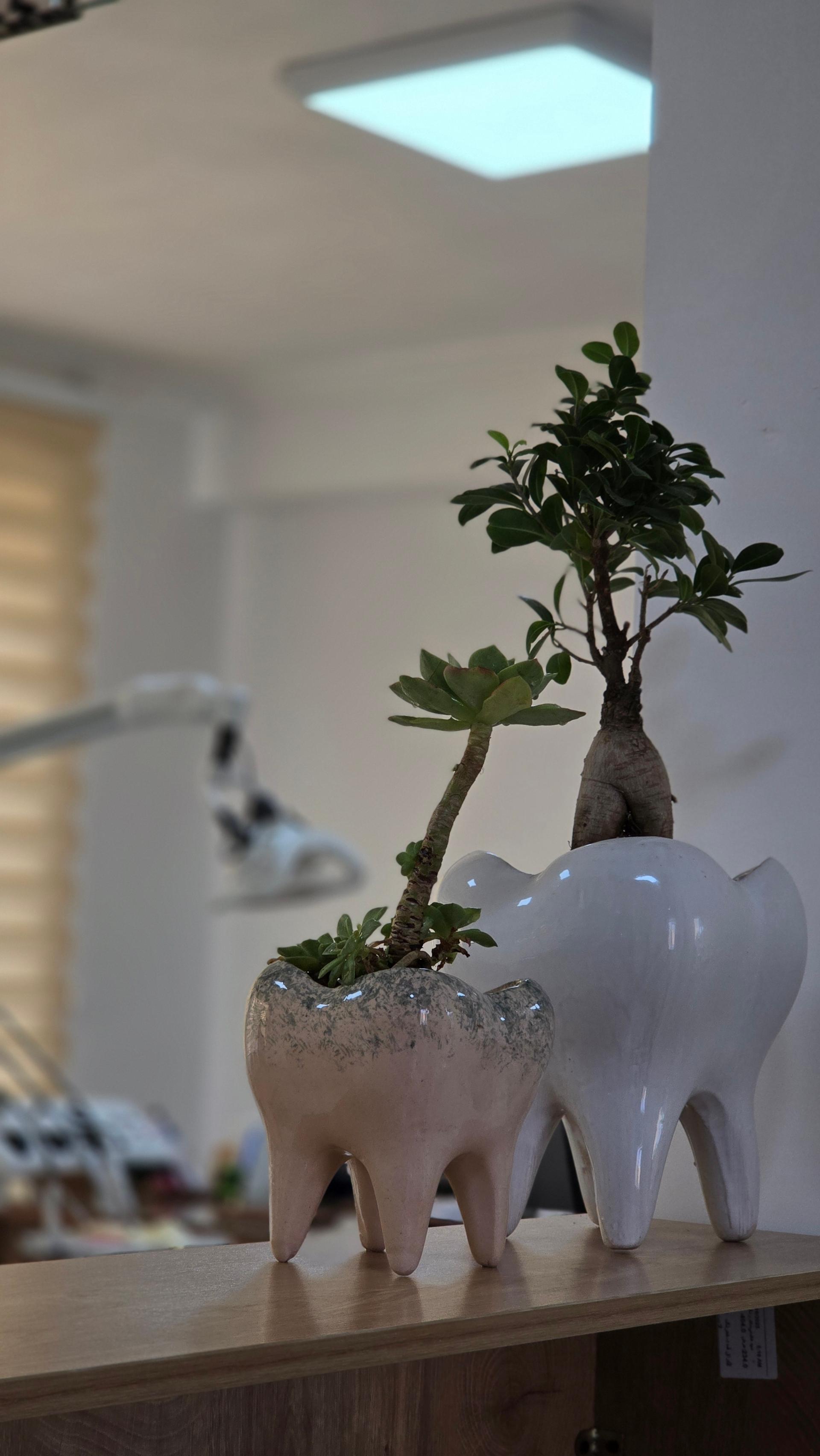 عکس مطب دندانپزشکی دکتر وطن خواه