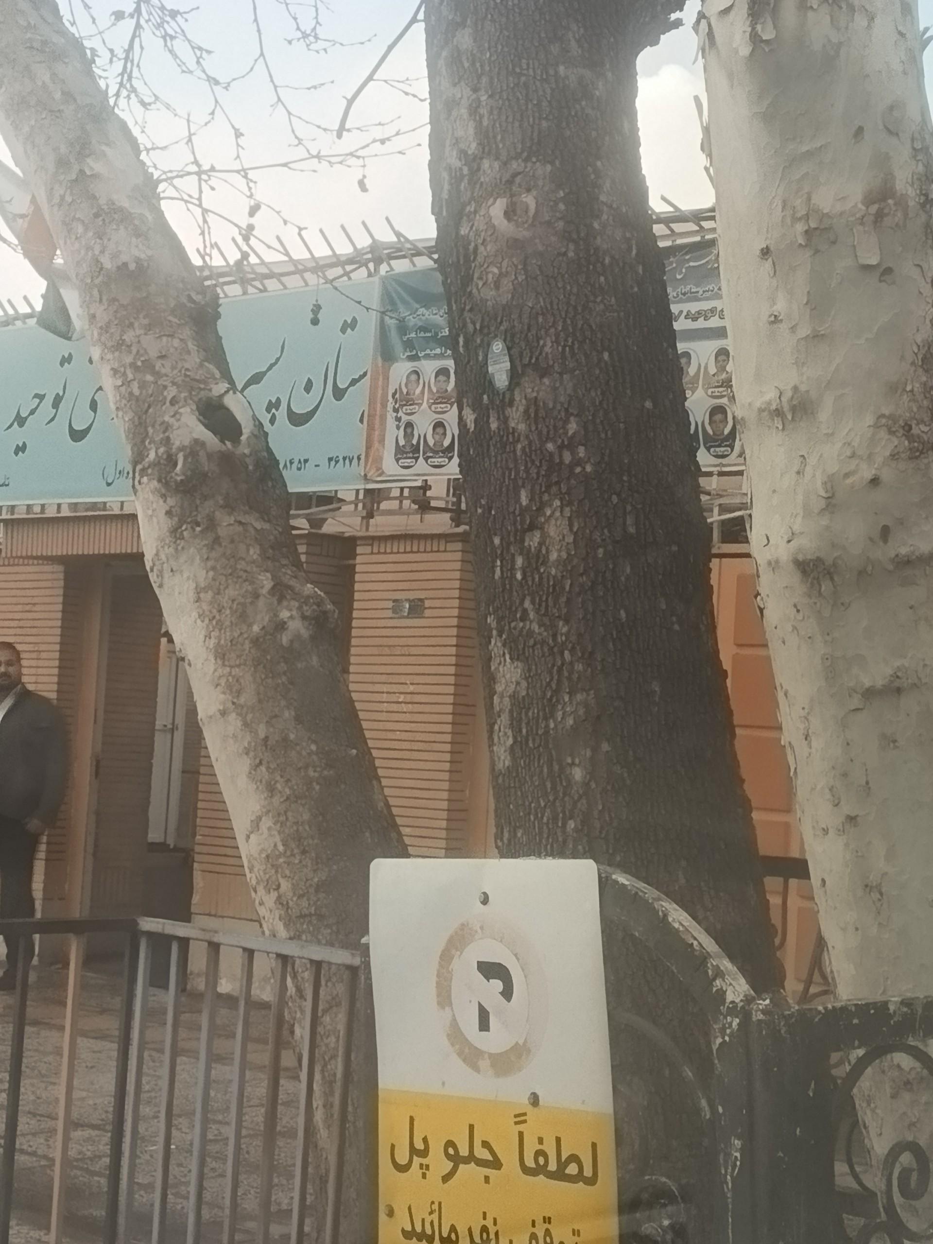 عکس دبستان توحید ۱