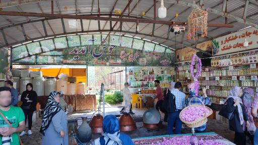 عکس گلابگیری سنتی ابن سینا