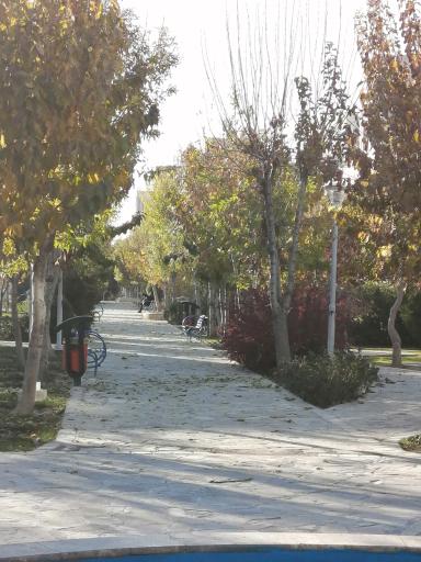 عکس بوستان آل یاسین