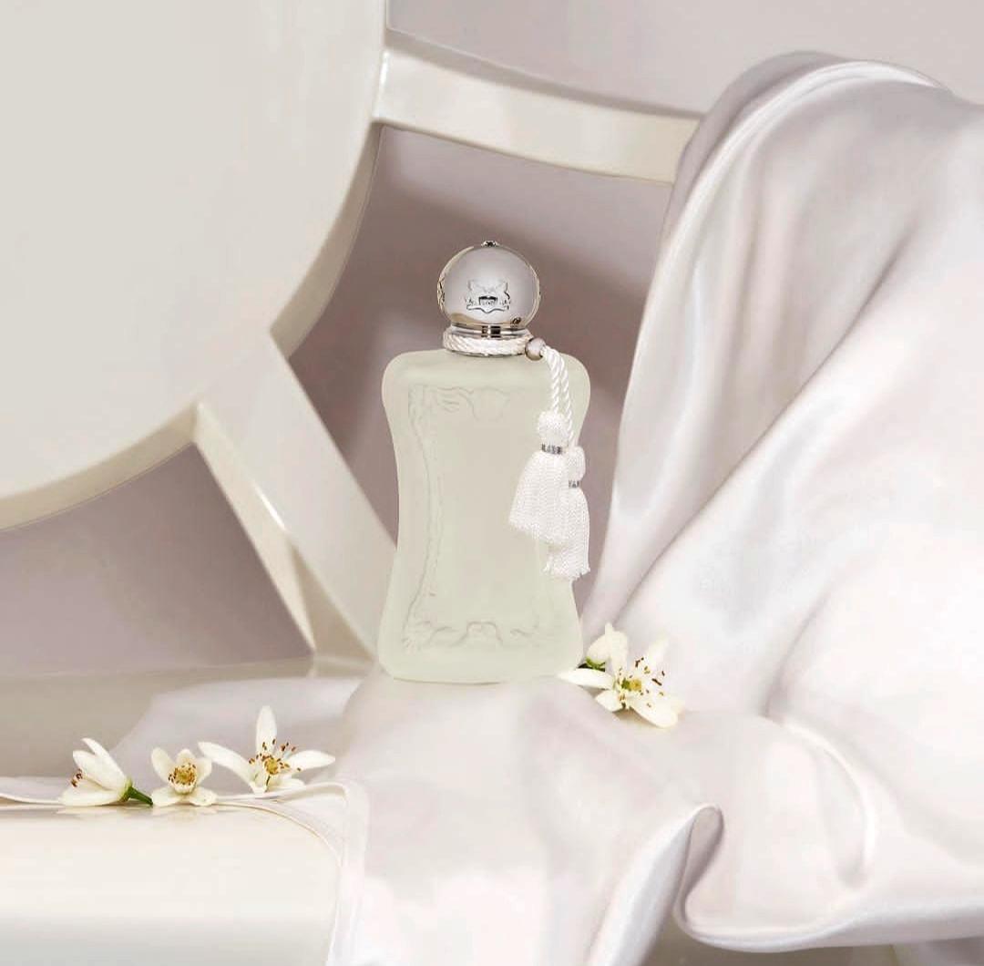 عکس آقای عطر (شعبه ۵)