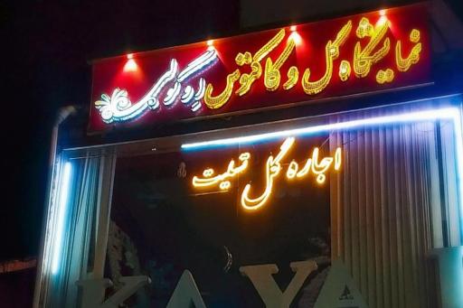 عکس گلفروشی ائوگولی