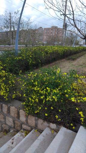 عکس پارک عرفان