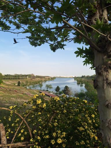 دریاچه ورزشگاه آزادی