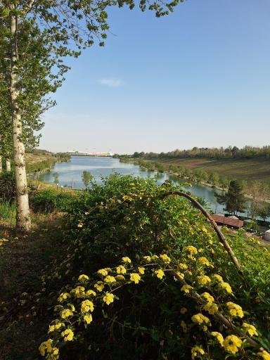 دریاچه ورزشگاه آزادی