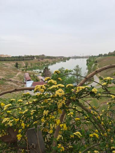 دریاچه ورزشگاه آزادی