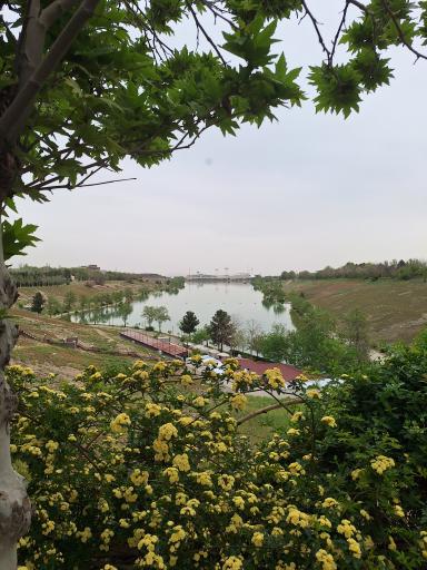 دریاچه ورزشگاه آزادی