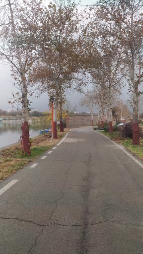 عکس دریاچه ورزشگاه آزادی