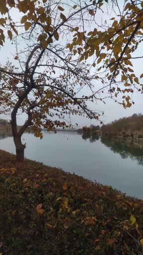 عکس دریاچه ورزشگاه آزادی