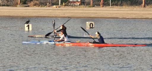 عکس دریاچه ورزشگاه آزادی