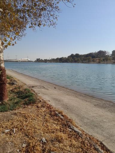 عکس دریاچه ورزشگاه آزادی