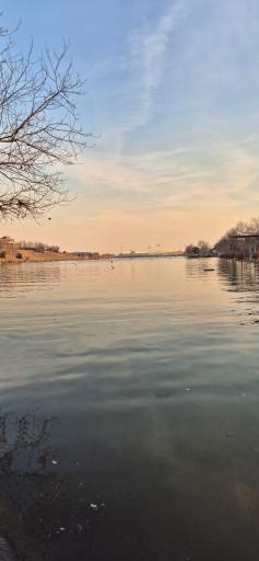 عکس دریاچه ورزشگاه آزادی