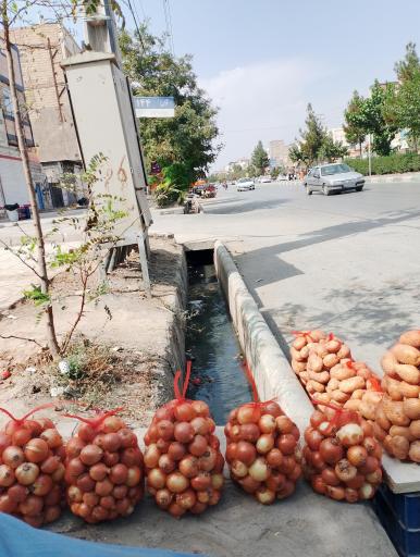 عکس  دوست آباد 4