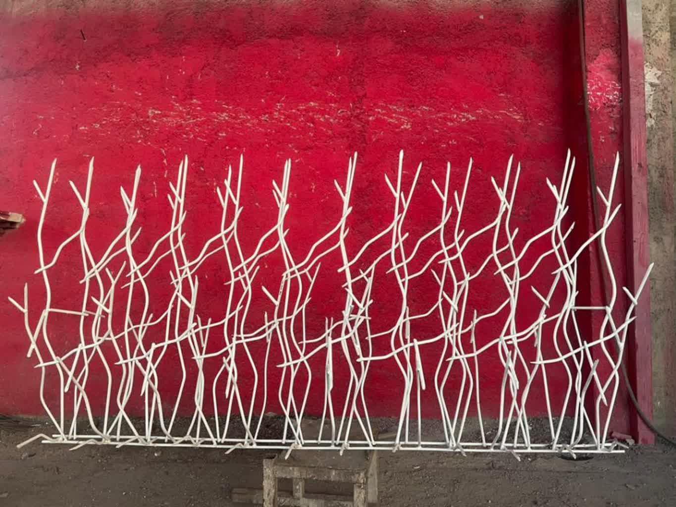 عکس حفاظ شاخ گوزنی تبریز