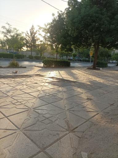 عکس  دوست آباد 4