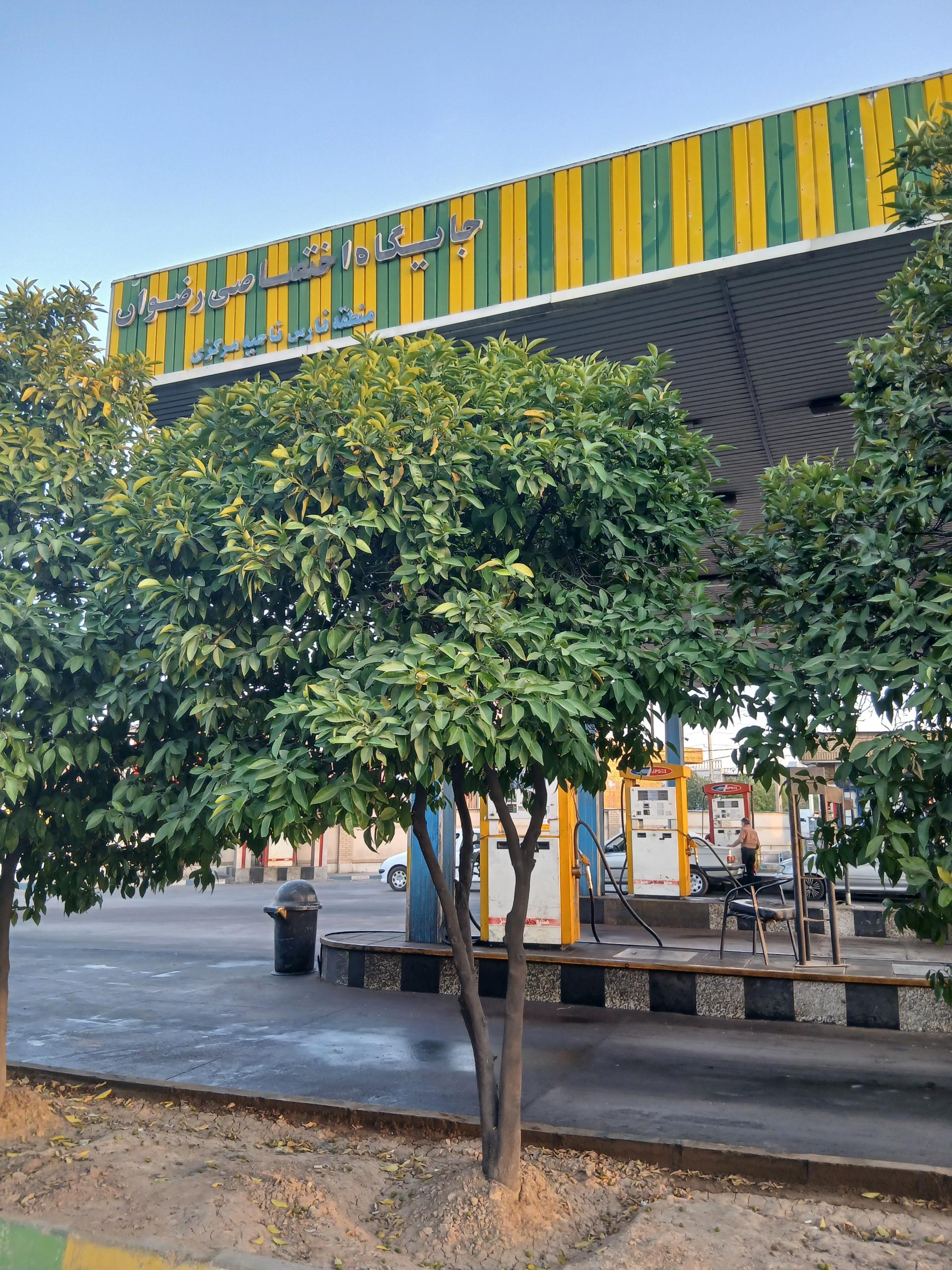 عکس پمپ بنزین رضوان