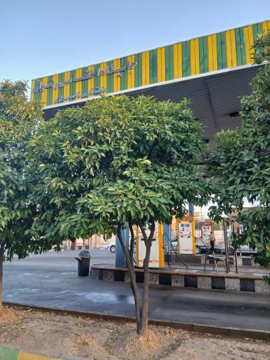 عکس پمپ بنزین رضوان