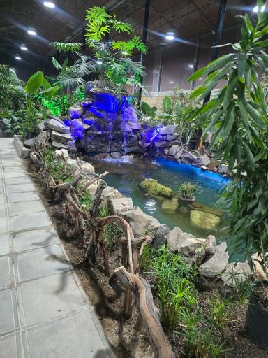 عکس گل و گیاه برکه آبی