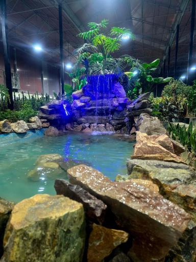 عکس گل و گیاه برکه آبی