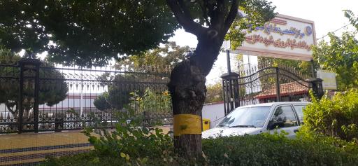 عکس داروخانه شبانه روزی شهید دکتر بهشتی