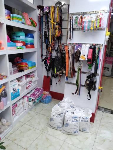 عکس پت شاپ اسپایک