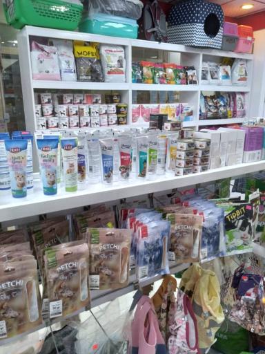 عکس پت شاپ اسپایک